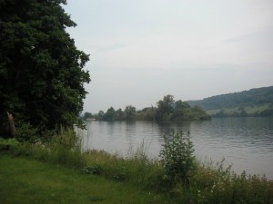 payasage avec un ciel gris