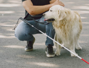 Une personne malvoyante et son chien guide dans la rue
